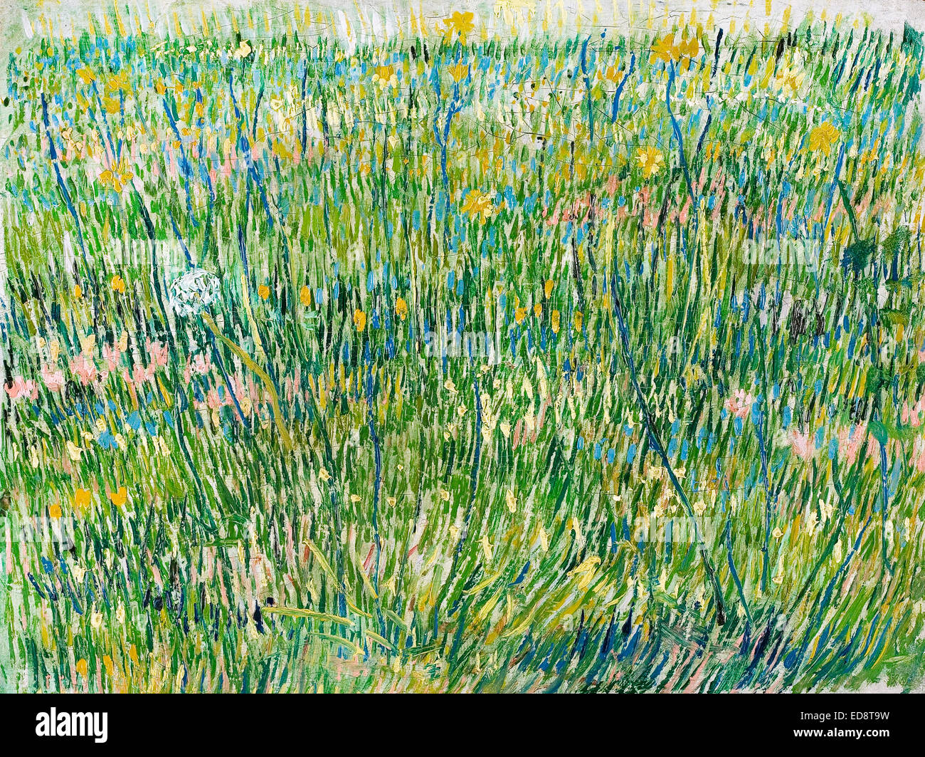 Vincent van Gogh, parche de hierba 1887 Óleo sobre lienzo. Kroller-Muller Museum, Otterlo, Países Bajos. Foto de stock