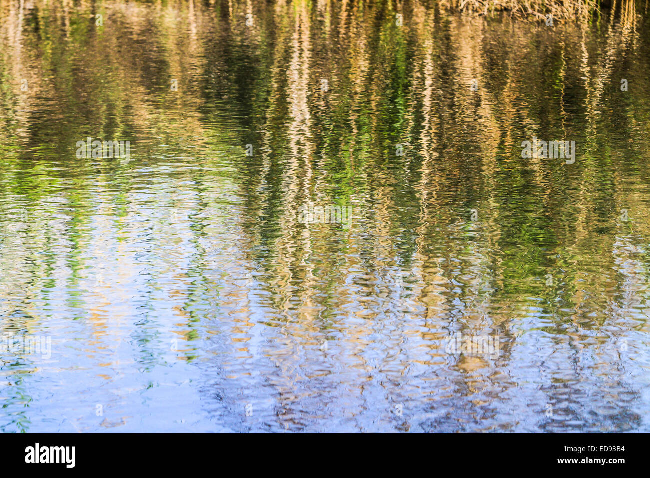 Los árboles de la orilla del río se reflejan en el murmullo del agua del  río Fotografía de stock - Alamy