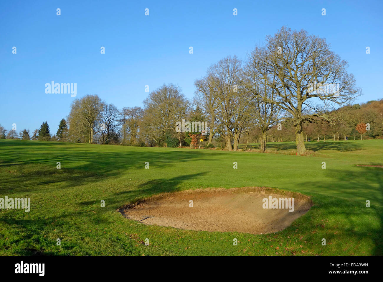 Lickey Hills Golf Course, colinas Lickey, Worcestershire, Inglaterra, Reino Unido. Foto de stock