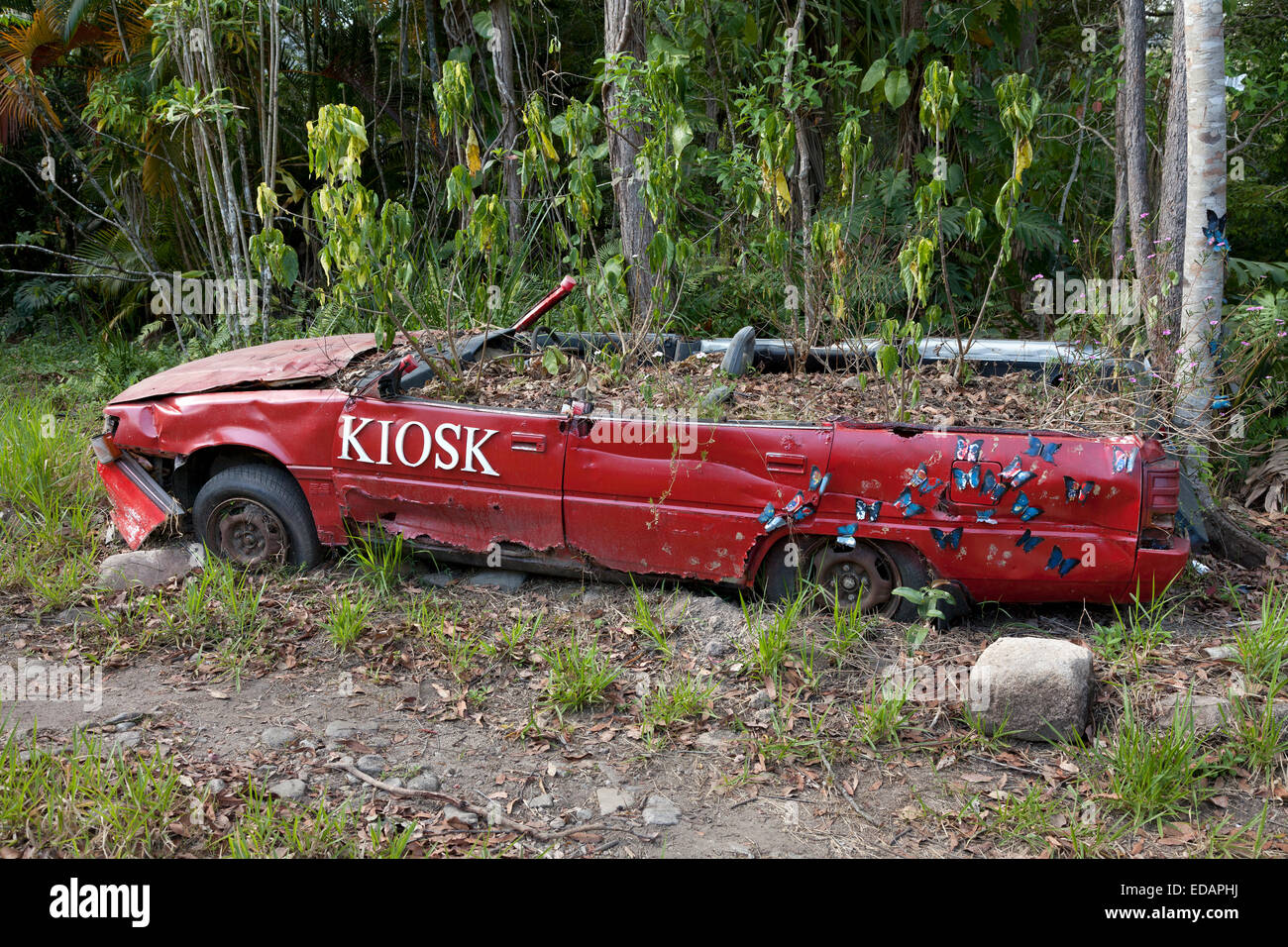 Sembradora en un accidente automovilístico en Finch Hatton Gorge, Queensland, Australia Foto de stock