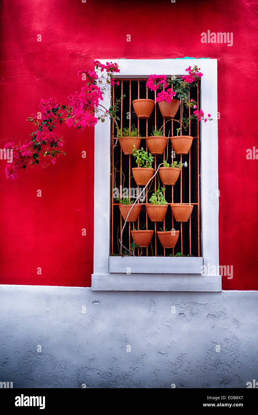 Vista de cerca de flores en macetas en una ventana, el Viejo San Juan, Puerto Rico Foto de stock