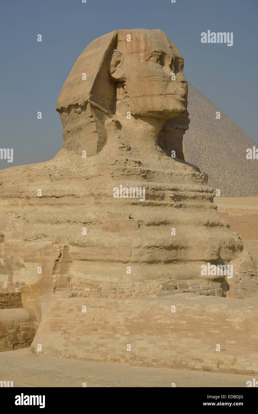 Sphinx o Gran Esfinge de Giza, León con cabeza humana, construido en la 4ª dinastía egipcia alrededor de 2700 A.C., en la parte delantera de la Foto de stock