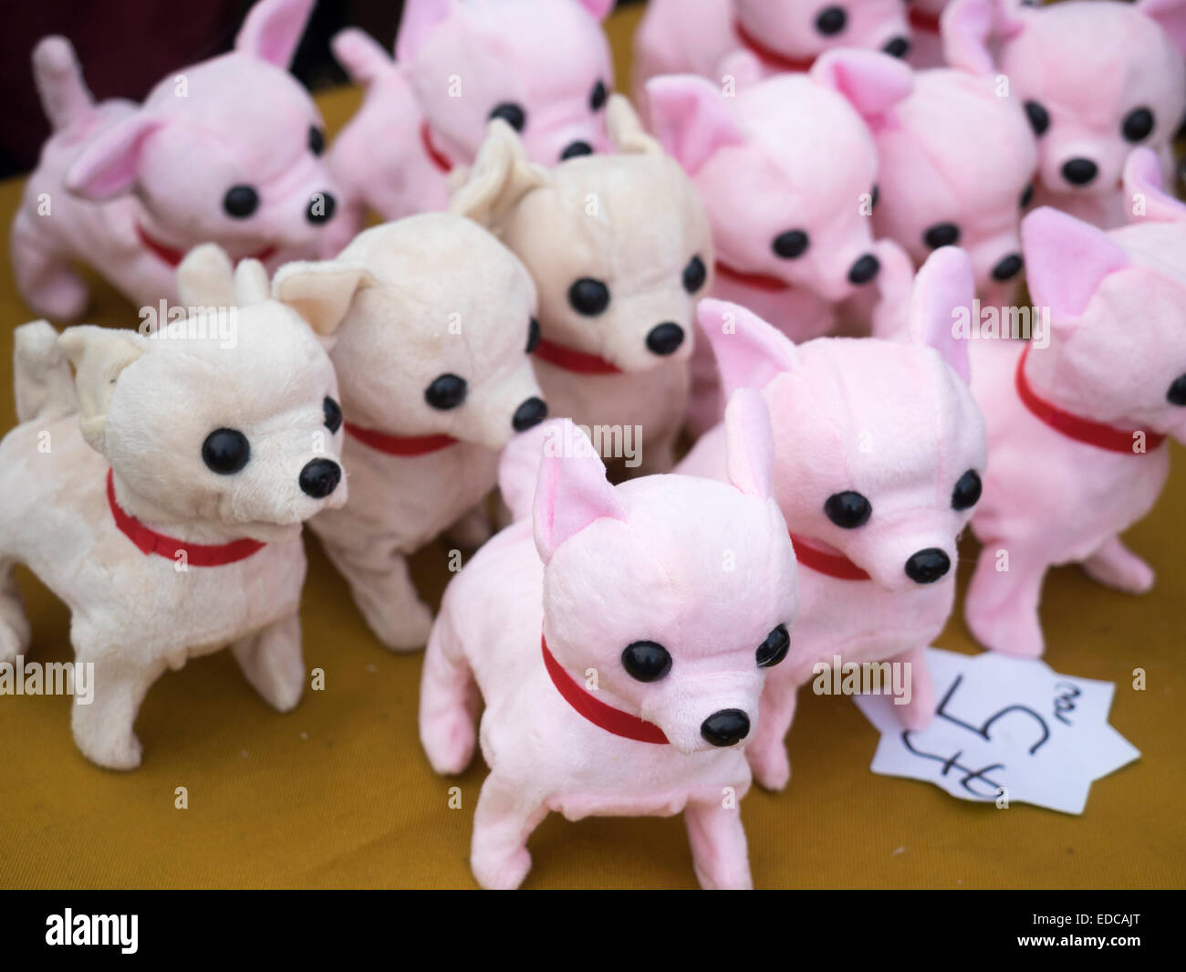 Perros de juguete fotografías e imágenes de alta resolución - Alamy