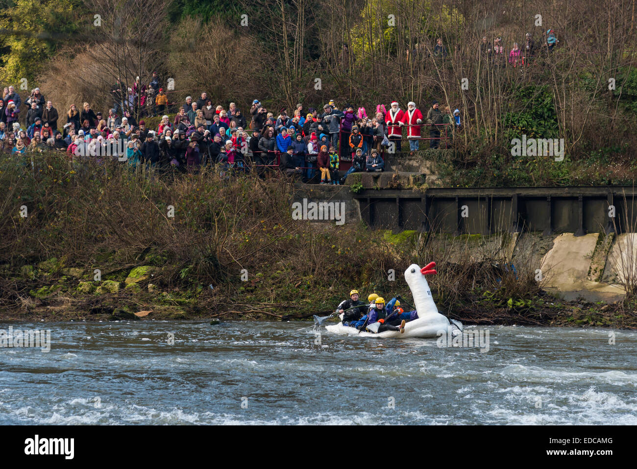 Carrera Balsa anual celebrada el Boxing Day en el río Derwent en Derbyshire Peak District Matlock para recaudar dinero para obras benéficas Foto de stock