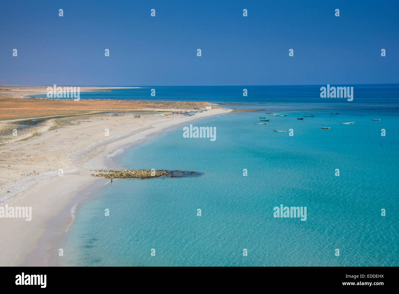 Costa con playa de arena blanca, en la isla de Socotra, Yemen Foto de stock