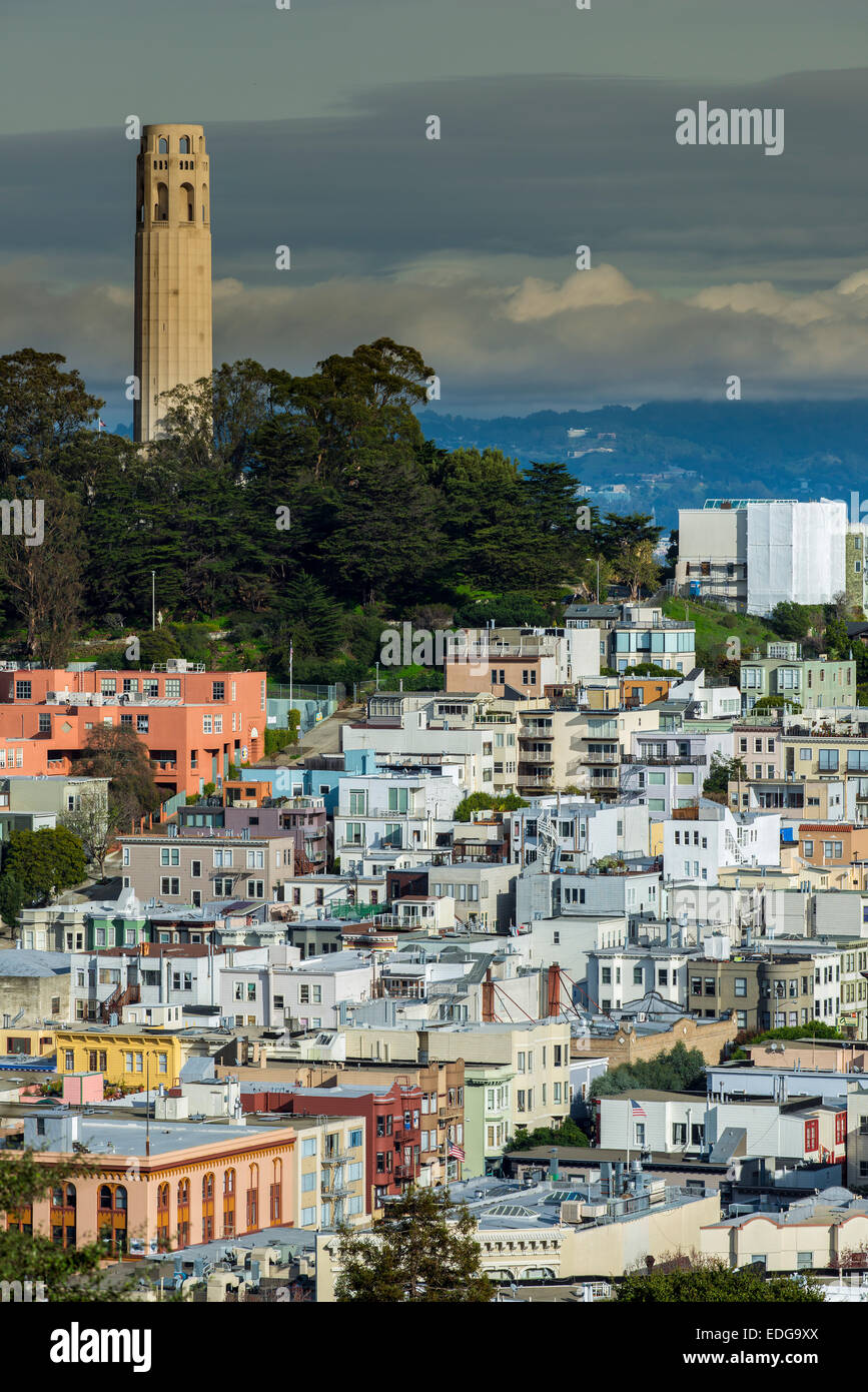 Vista superior a lo largo de Telegraph Hill barrio y Coit Tower, San Francisco, California, EE.UU. Foto de stock