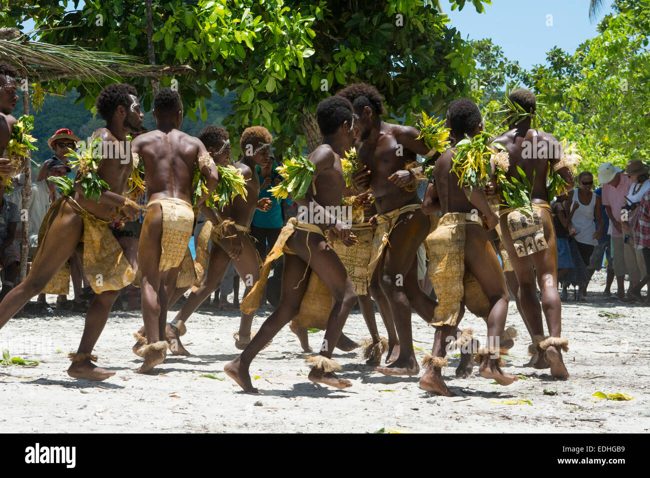 Melanesia, las Islas Salomón, la Isla Santa Cruz, Isla del grupo malo. Los  aldeanos en trajes nativos realizan la danza tradicional Fotografía de  stock - Alamy