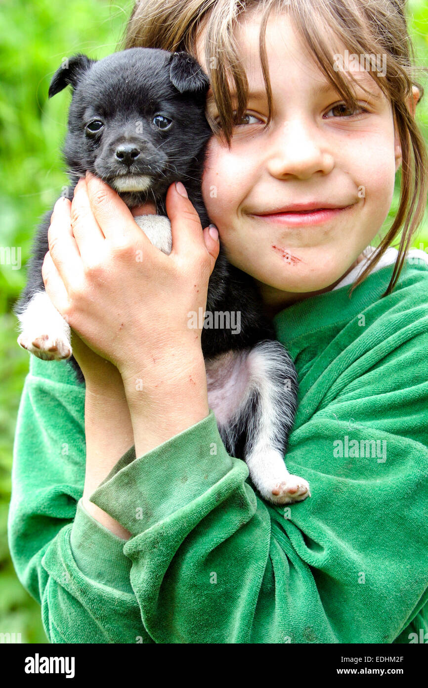 Cachorro Border Collie perro Chica Lucky Niño Retrato cara Fotografía de  stock - Alamy