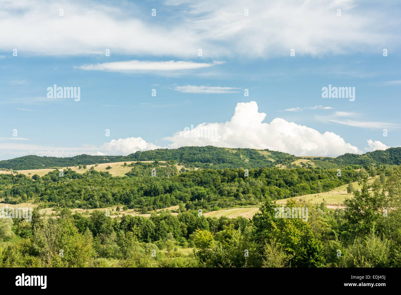 Paisaje de las montañas de los Cárpatos con el cielo azul en verano Foto de stock