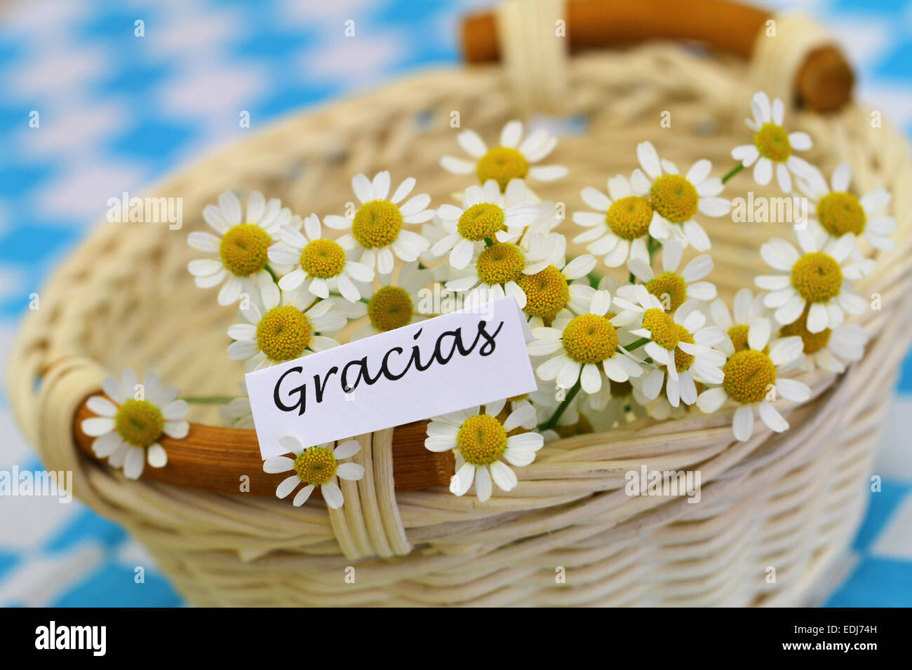 Gracias tarjeta (que significa gracias en español) con flores de manzanilla  en cesta de mimbre Fotografía de stock - Alamy