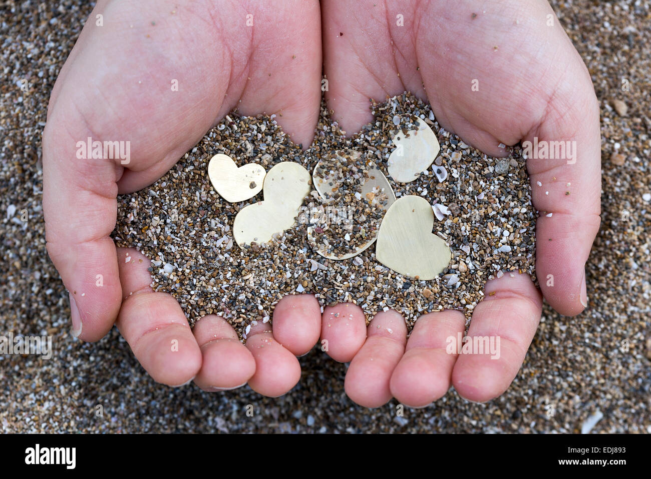 Dos manos sujetan cinco pequeñas y hermosas formas de corazón brillante y la arena. Foto de stock