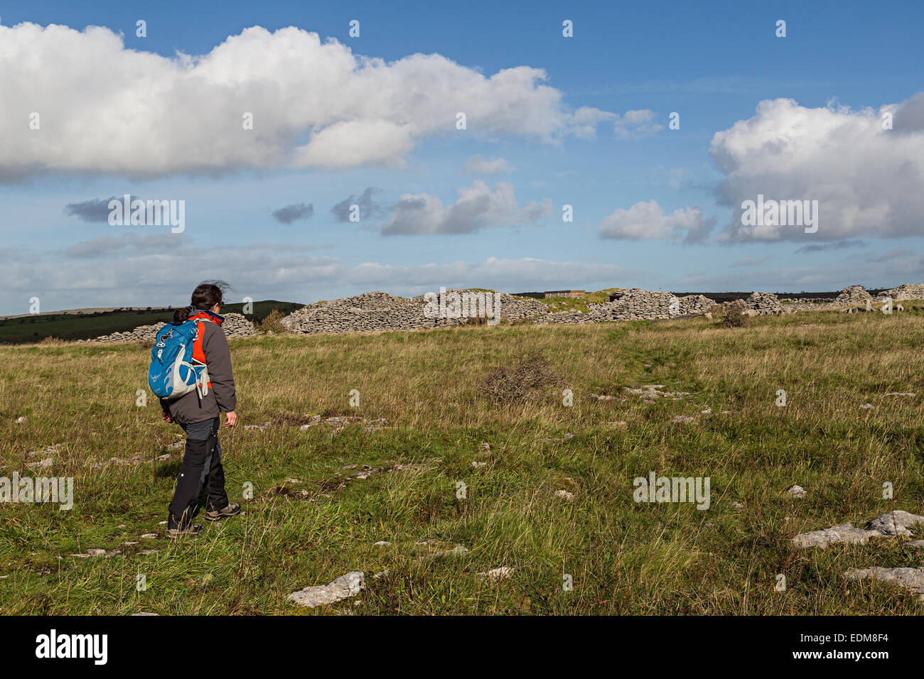Persona caminando hasta las ruinas del recinto defensivo de Cathair Chomain fort, el Burren, Clare, Irlanda Foto de stock