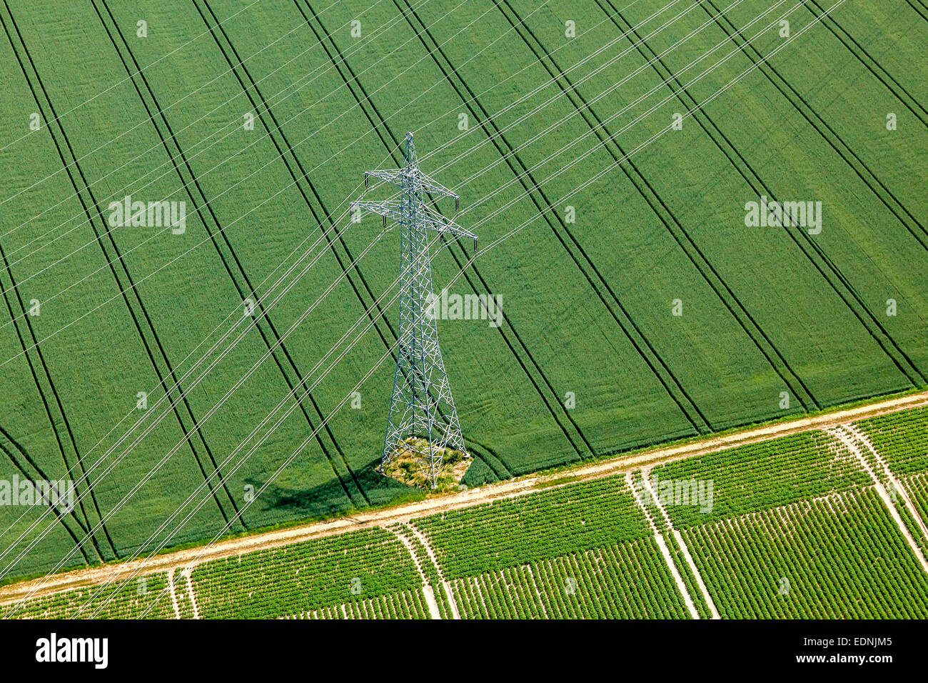 Vista aérea de transmisión de alta tensión pilón en un verde campo whaet, Landshut, la Baja Baviera, Baviera, Alemania Foto de stock