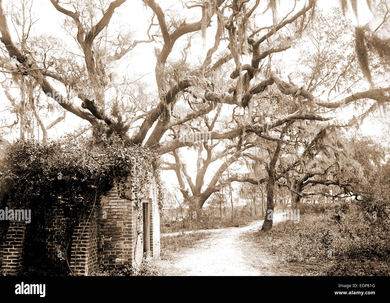 Chicora Park, Charleston, S.C, de parques, de Estados Unidos, Charleston, Carolina del Sur, 1890 Foto de stock