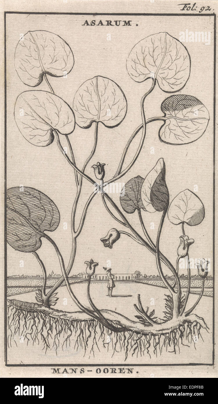 Mansoor, Caspar, Jan Luyken Claesz diez Hoorn, 1698 Foto de stock