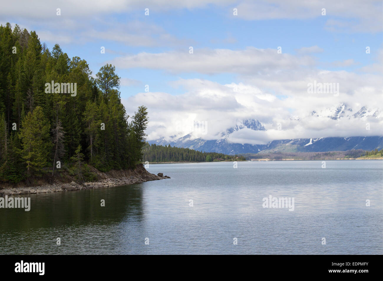 El Lago Jackson en el Grand Teton en Wyoming Cordillera Foto de stock