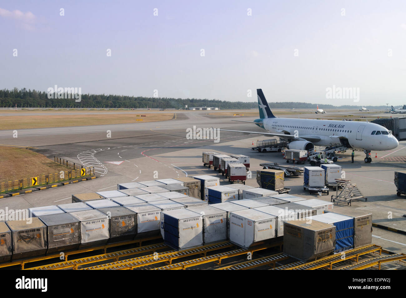 Cargando el equipaje en un avión de pasajeros de SilkAir al Aeropuerto Internacional Changi de Singapur. Foto de stock