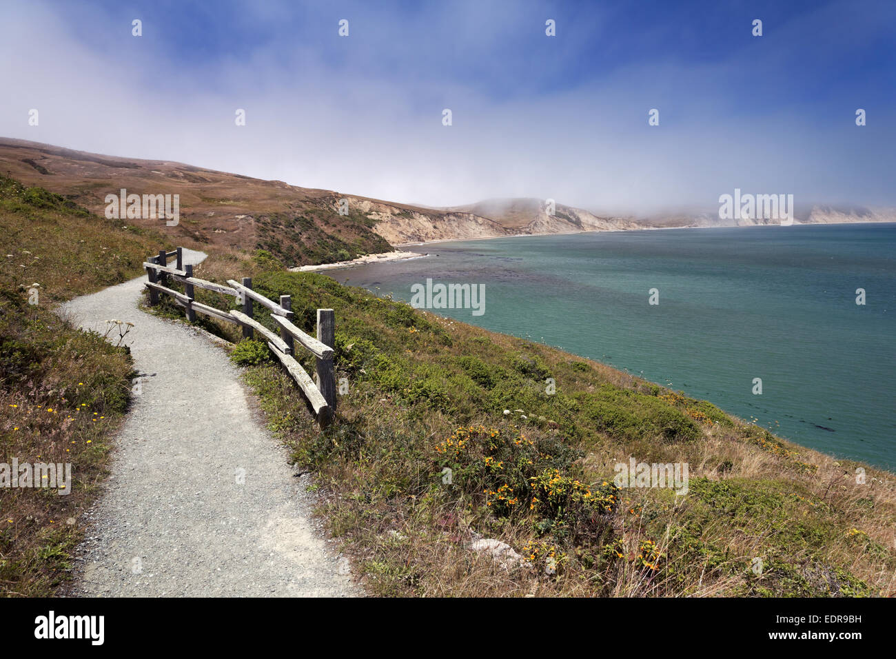 Trail a Elephant Seal soslayar, Point Reyes National Seashore, California, EE.UU. Foto de stock