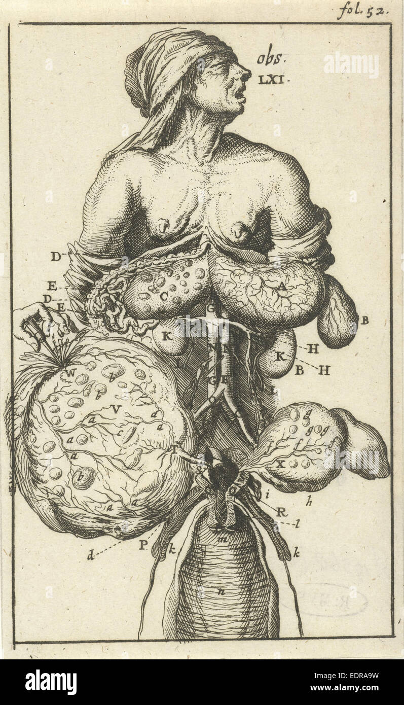 Imagen anatómica II, Jan Luyken, Jan Claesz diez Hoorn, 1680 - 1688 Foto de stock