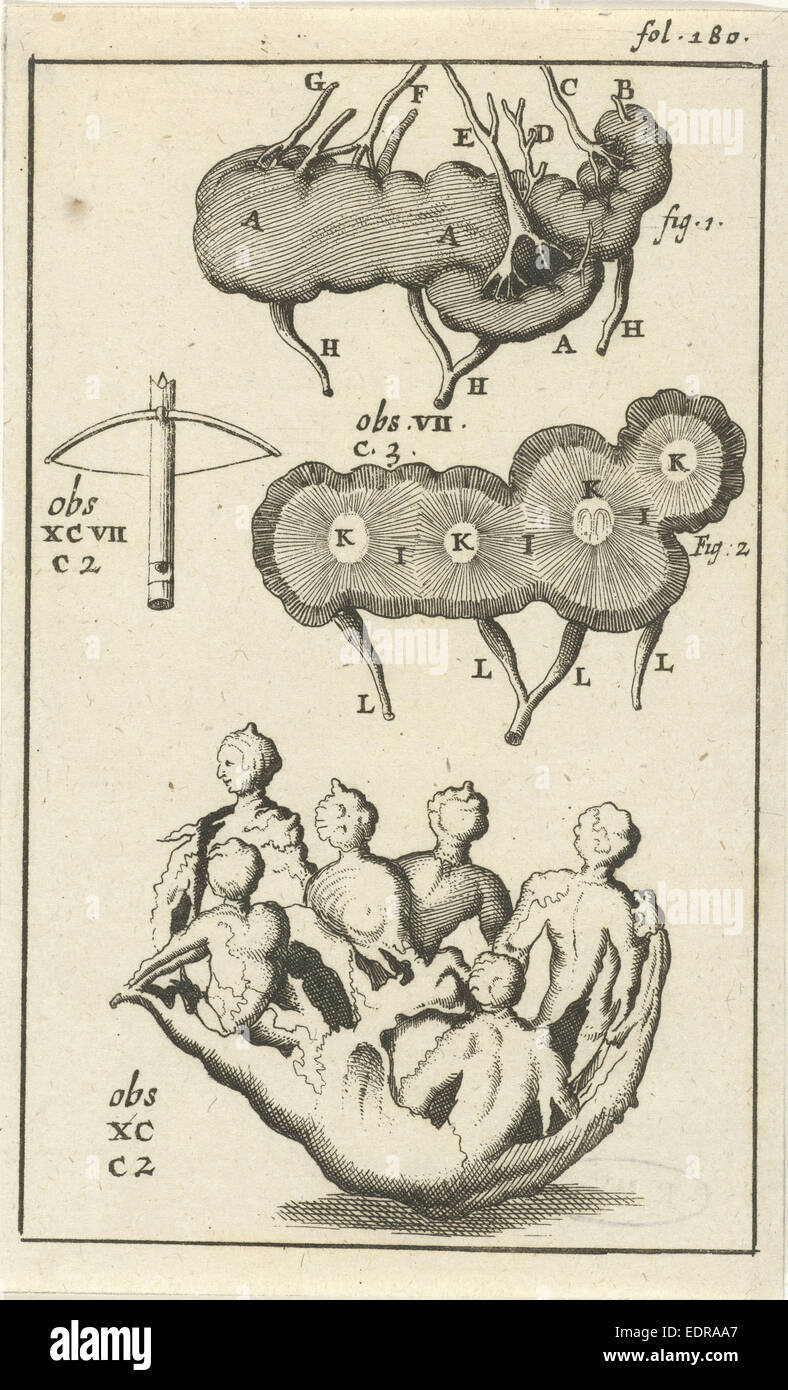Imagen anatómica VII, Jan Luyken, Jan Claesz diez Hoorn, 1680 - 1688 Foto de stock