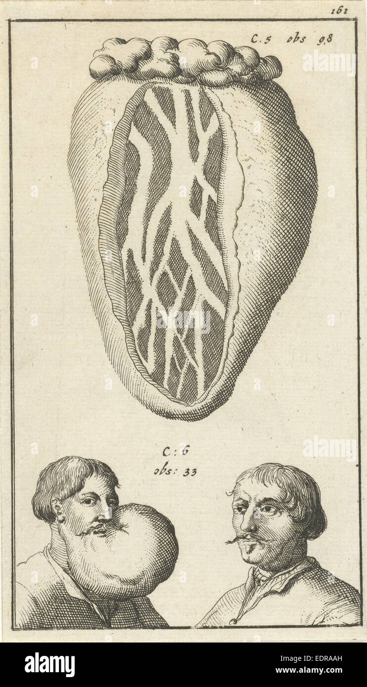 Imagen anatómica XIV, Jan Luyken, Jan Claesz diez Hoorn, 1680 - 1688 Foto de stock