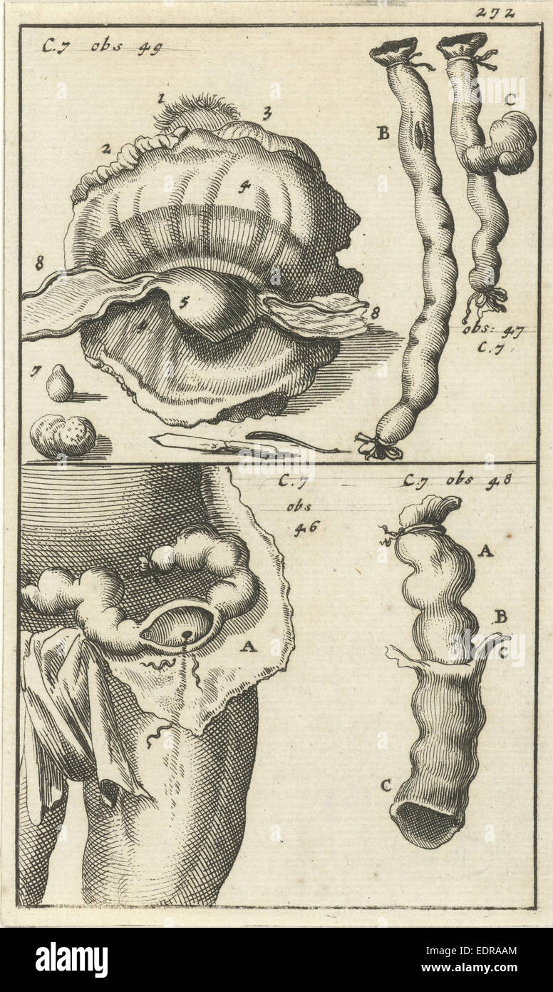 Imagen anatómica XIX, Jan Luyken, Jan Claesz diez Hoorn, 1680 - 1688 Foto de stock