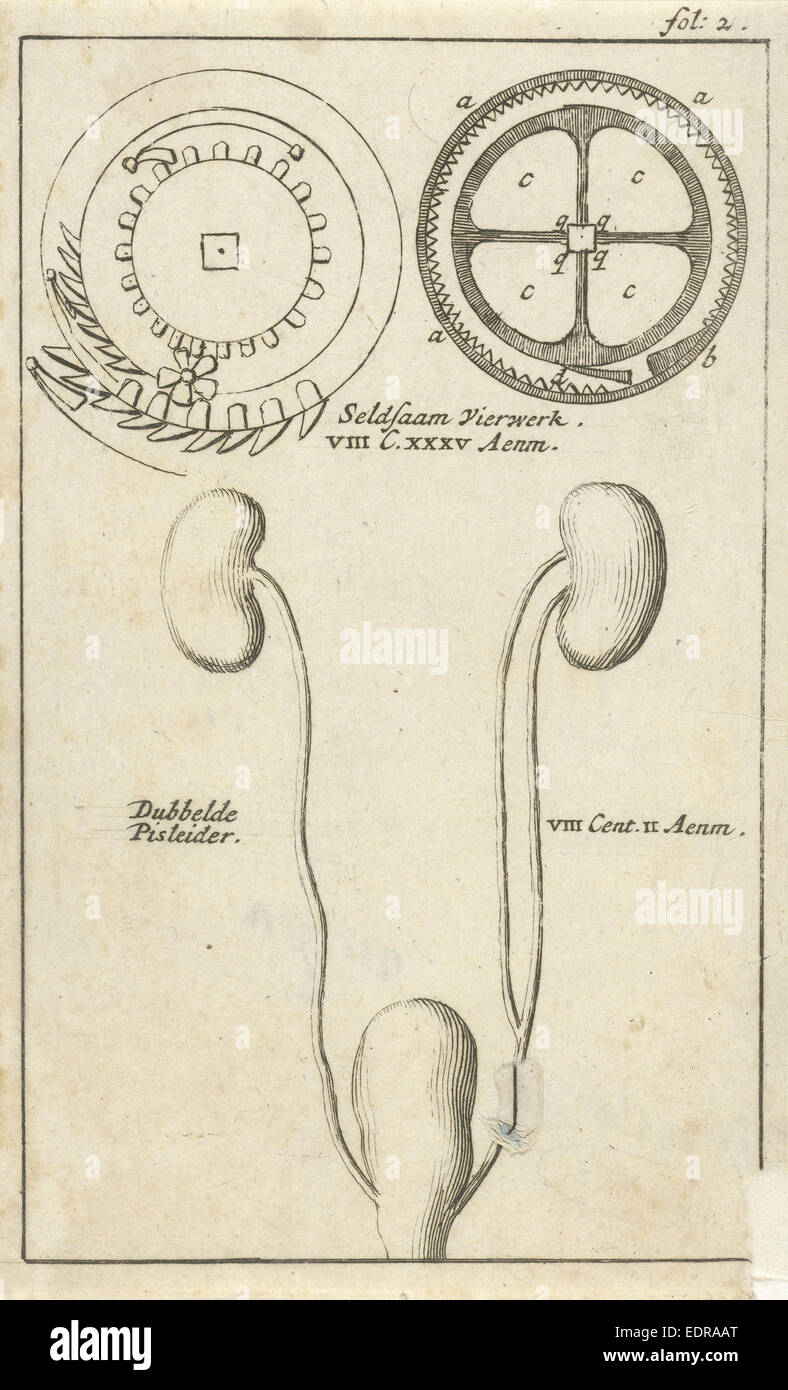 Imagen anatómica XXI, Jan Luyken, Jan Claesz diez Hoorn, 1680 - 1688 Foto de stock