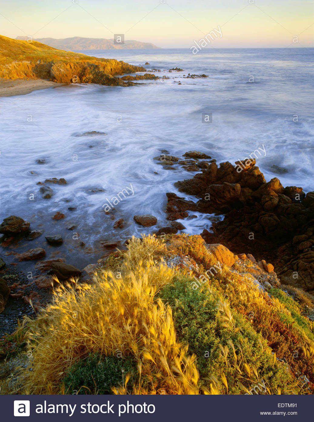 El extremo oeste de la isla de Santa Cruz, preservar la conservación de la Naturaleza. La Isla Santa Cruz, California. Foto de stock