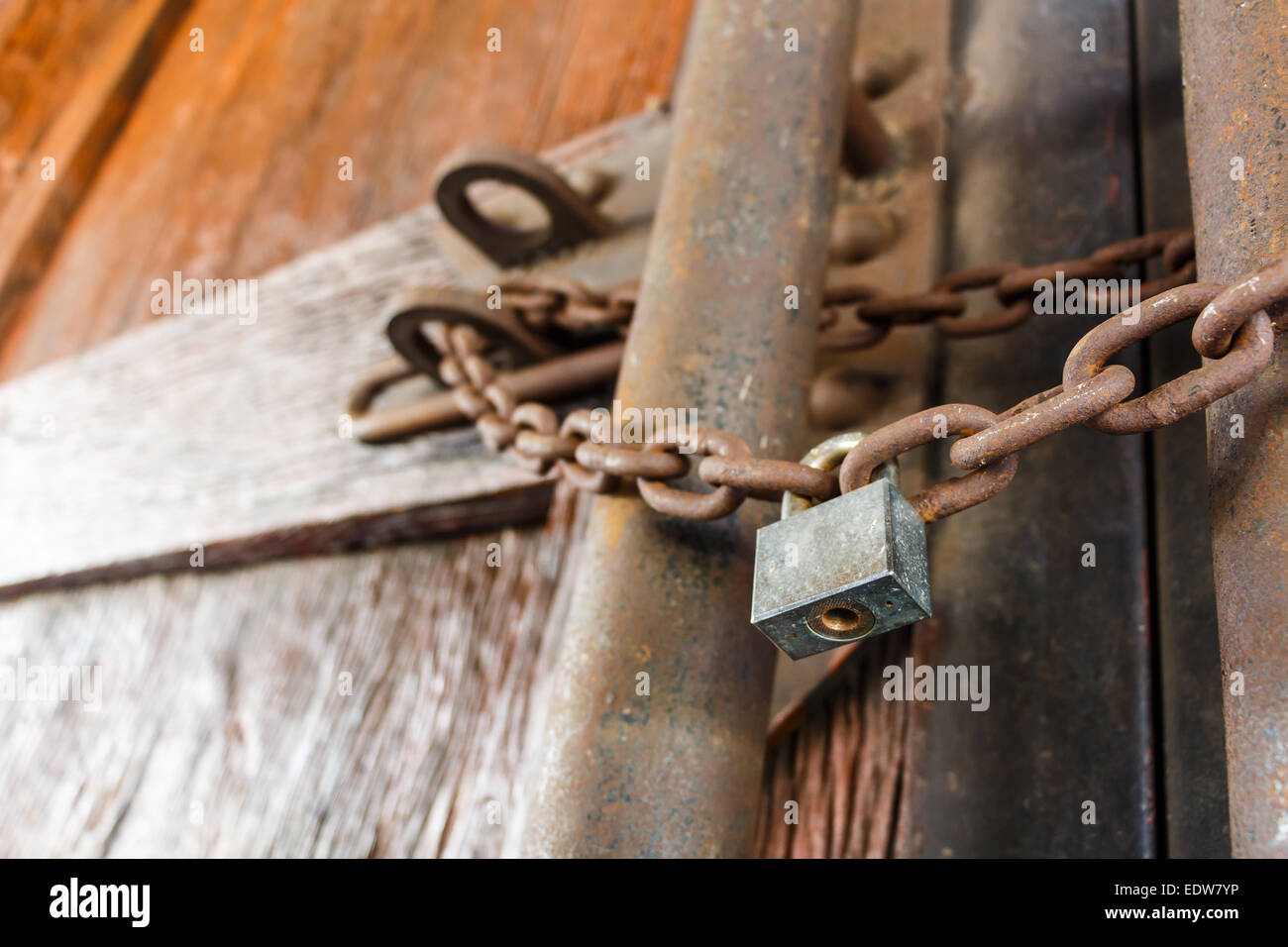 Cadena oxidada y master key lock puerta de madera Foto de stock
