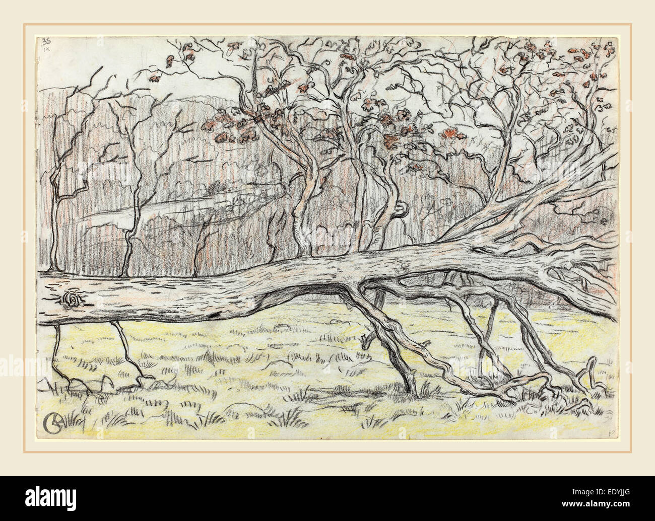 Georges Lacombe, Francés (1868-1916), de árboles talados, Normandía, 1898, gris oscuro con rojo-marrón y amarillo crayón. Foto de stock