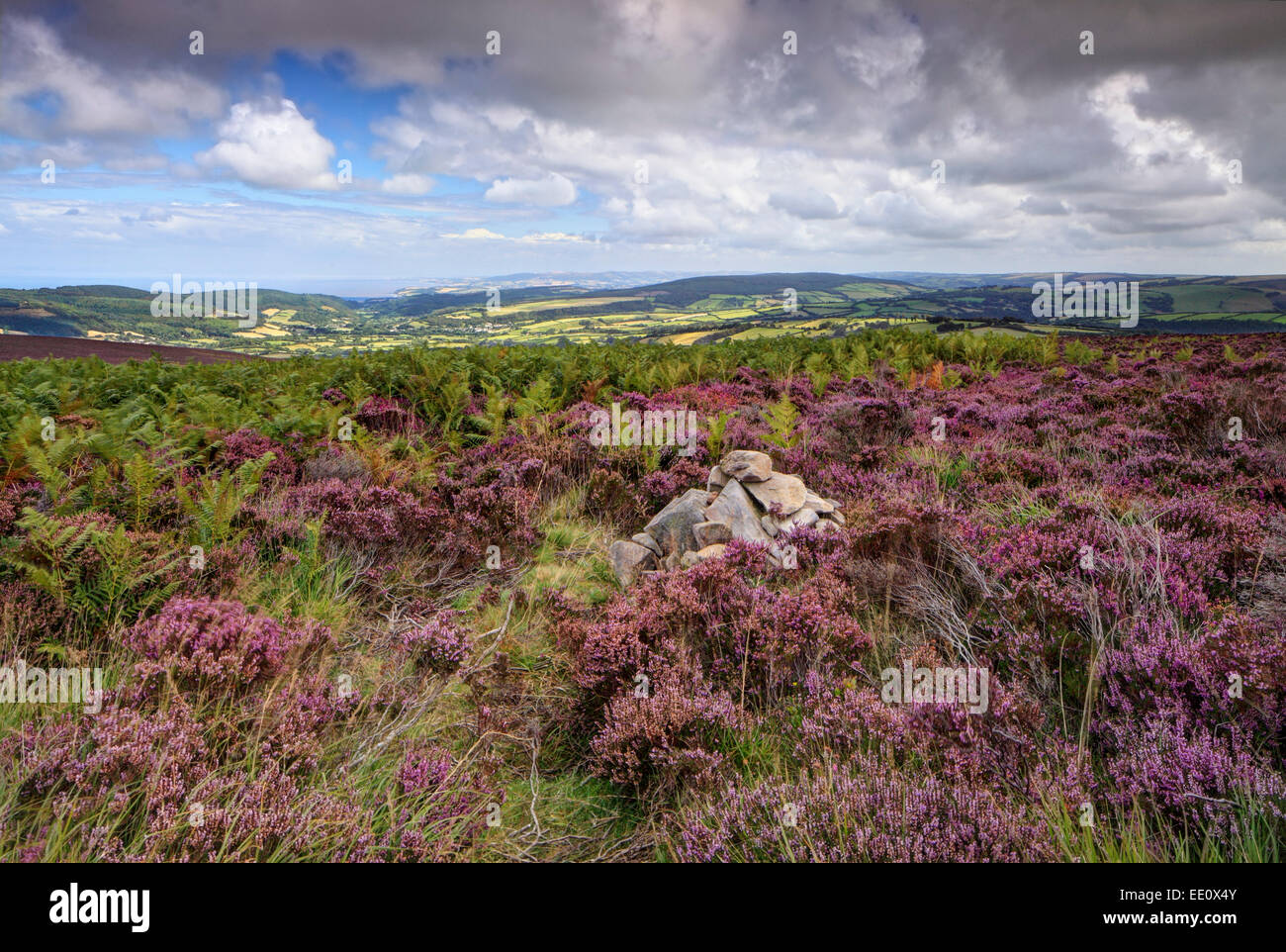 Colina Dunkery Exmoor, North Devon. Foto de stock