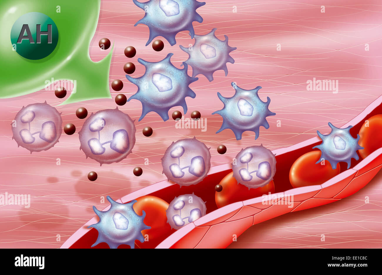 Resultado de imagen para cicatrización ilustrado