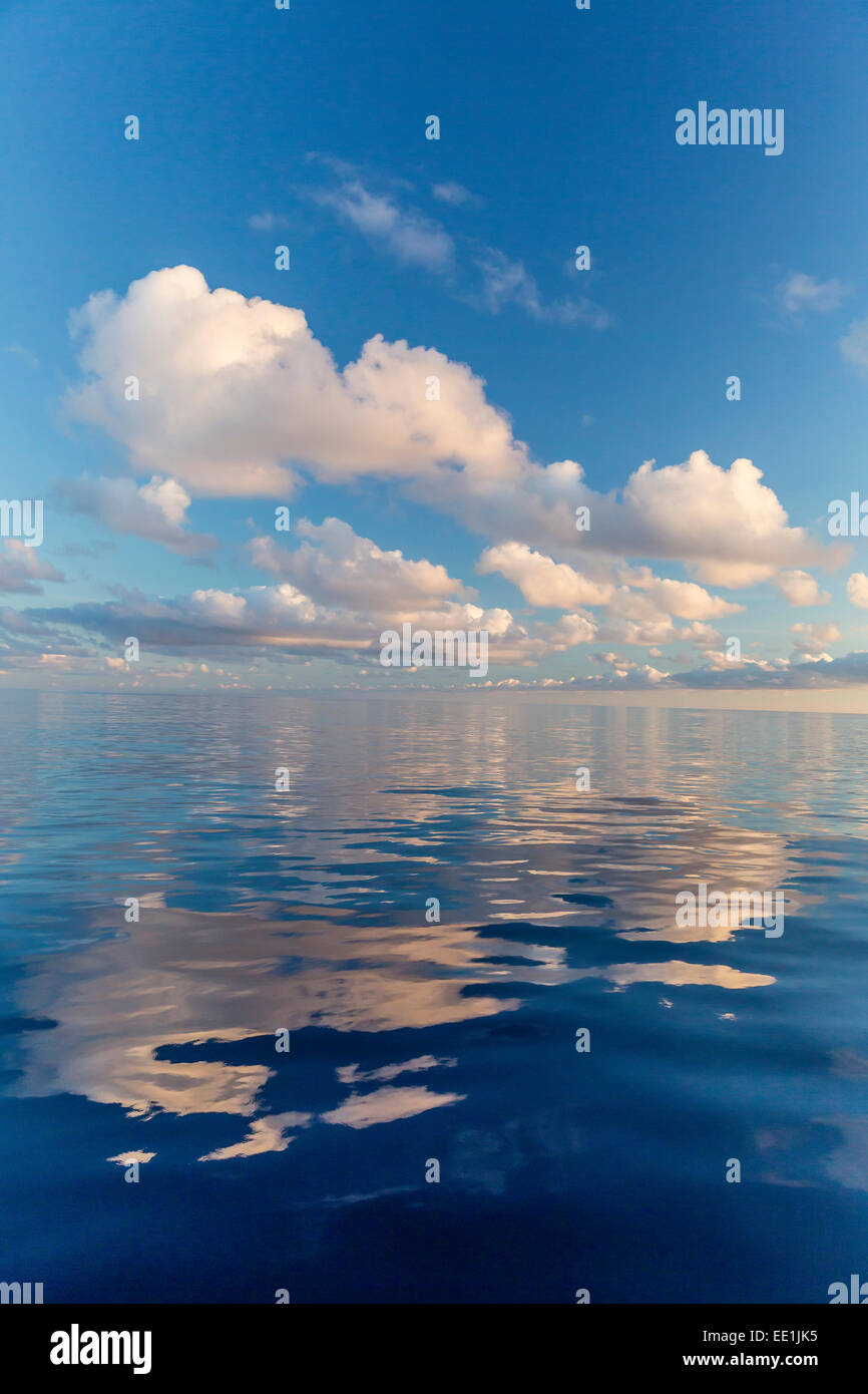 Refleja las nubes en el mar en calma, cerca de la isla de Deserta Grande, en las Ilhas Desertas, cerca de Funchal, Madeira, Portugal Foto de stock
