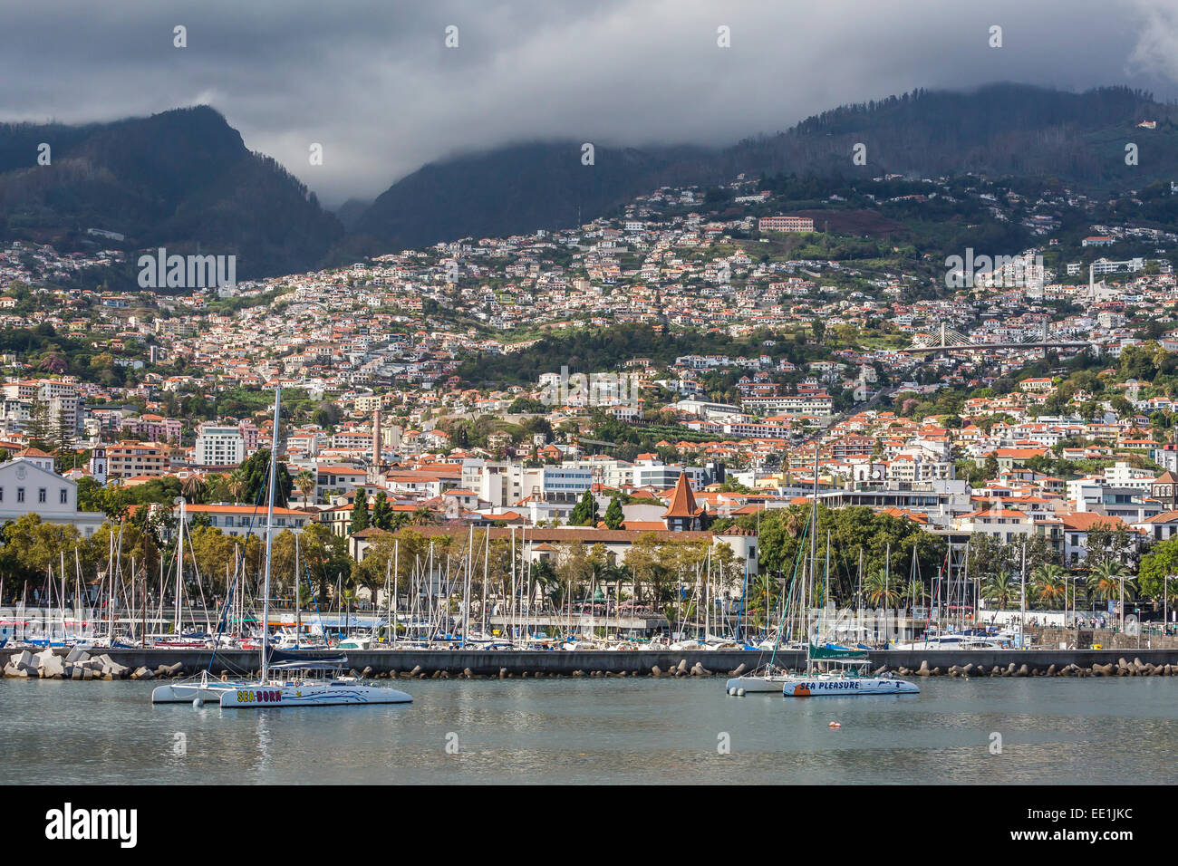 Vista frente al mar en el corazón de la capital de Funchal, Madeira, Portugal, el Atlántico, Europa Foto de stock