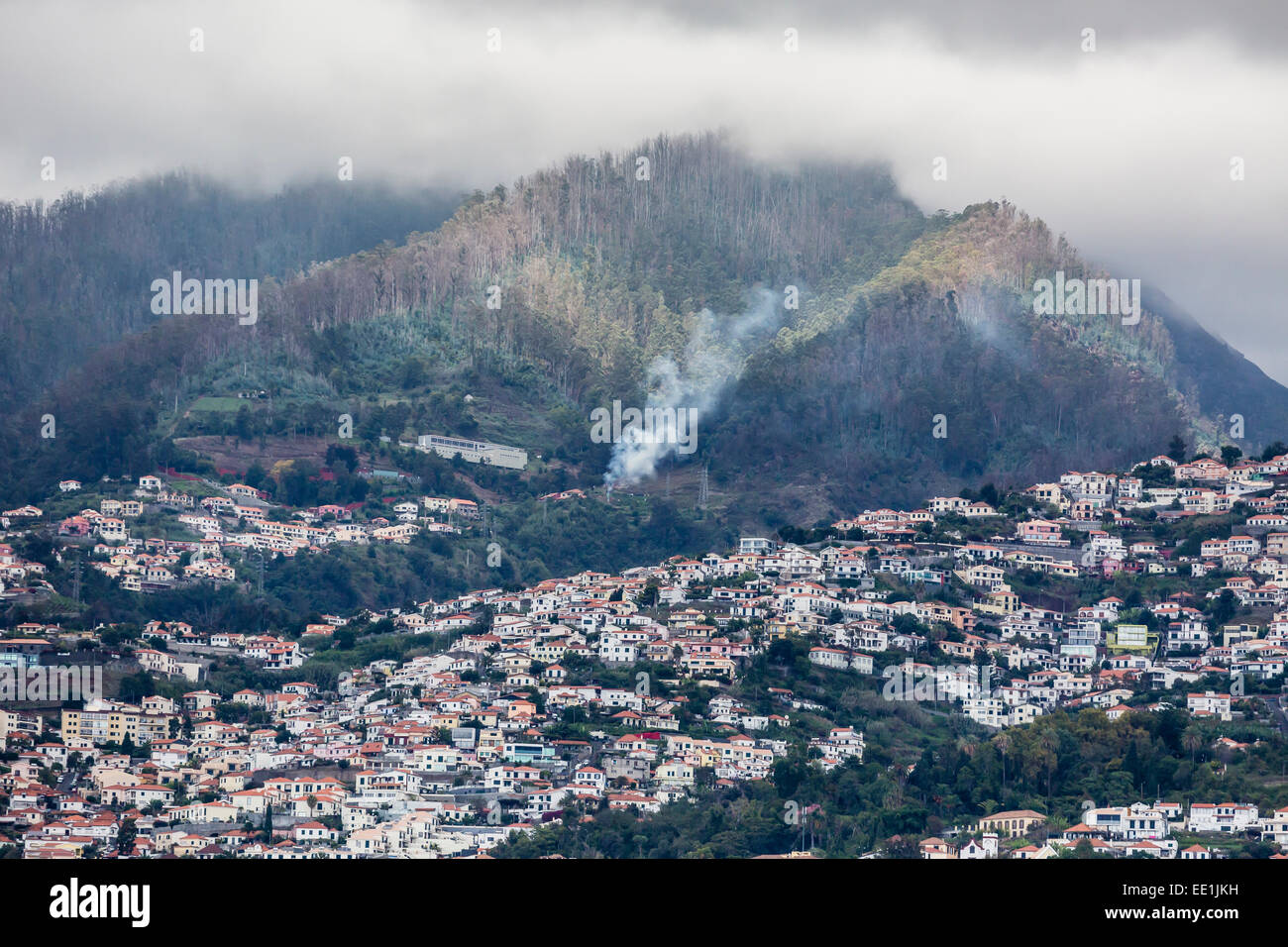 Vista frente al mar en el corazón de la capital de Funchal, Madeira, Portugal, el Atlántico, Europa Foto de stock