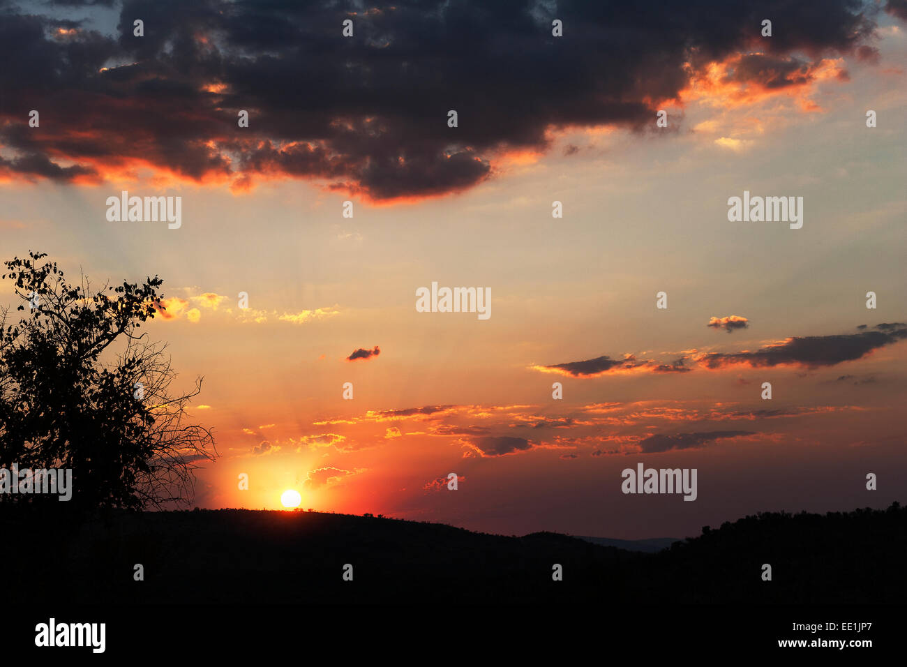 Puesta de sol detrás de cresta en sabana arbolada zona Norte, Mpumalanga, Sudáfrica Foto de stock