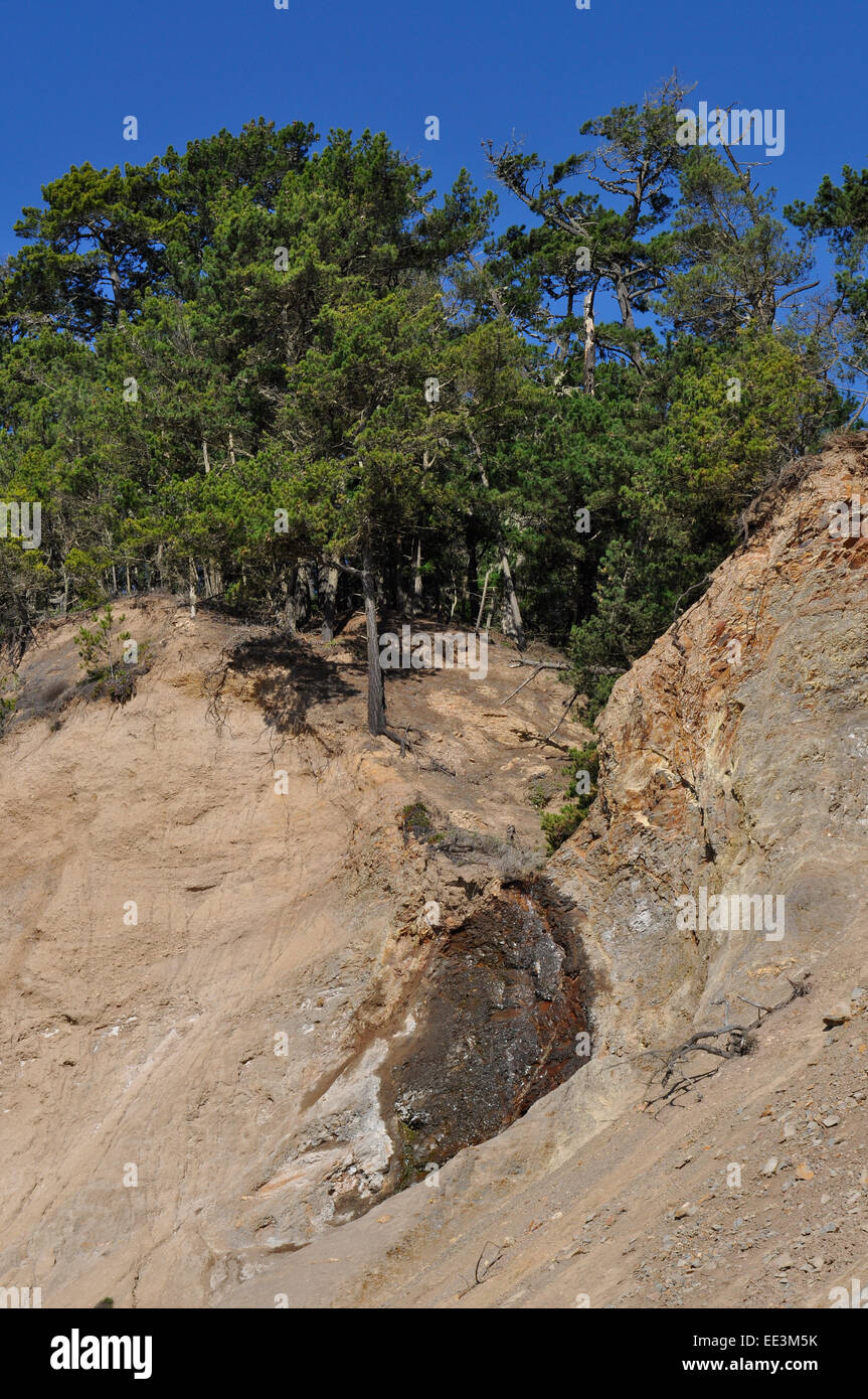 Cliff la erosión a lo largo de California Highway 1 al norte de Santa Cruz, Foto de stock