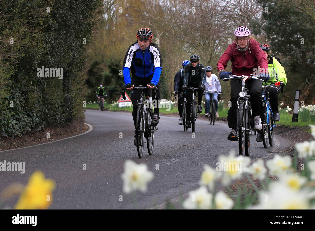 Mantenerse en forma - en el ciclismo de carretera - grupo de ciclistas en bicicleta alrededor de una esquina en la primavera Foto de stock