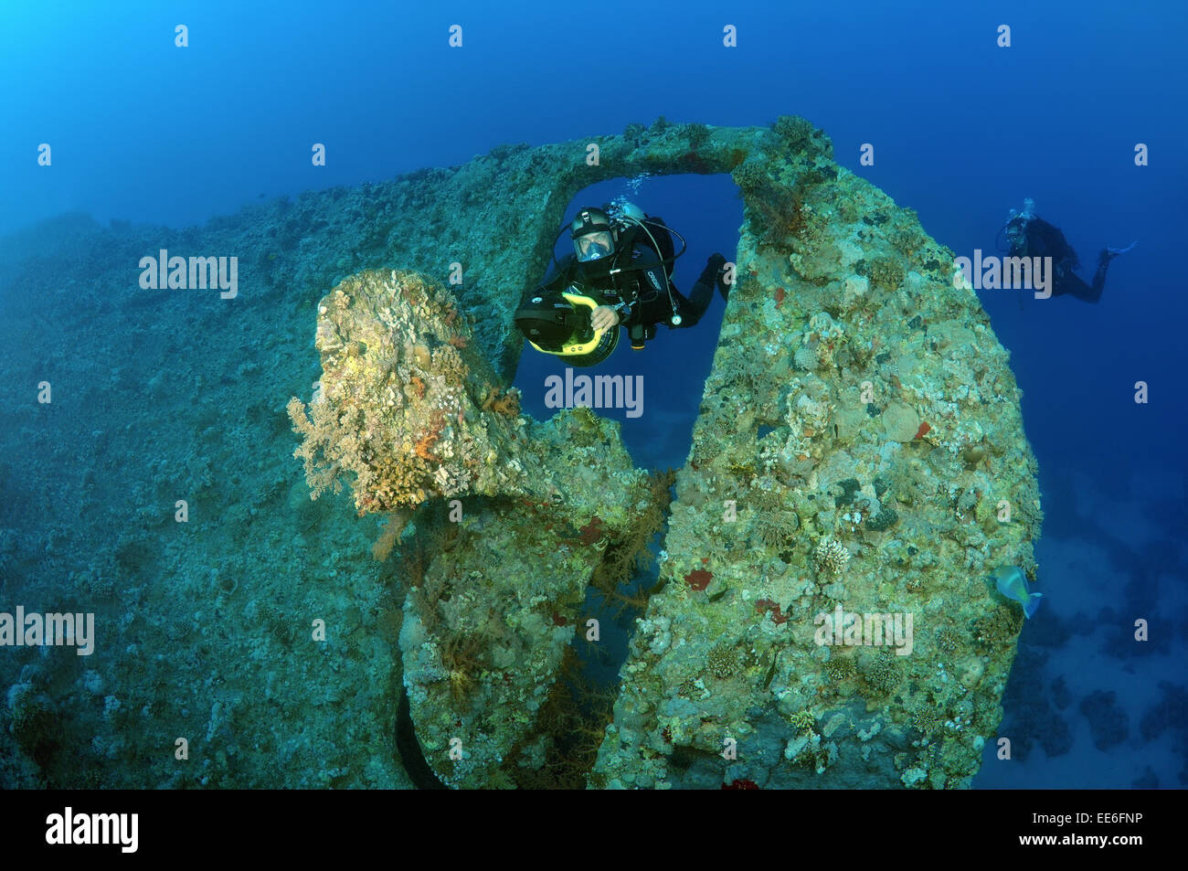 Diver en moto subacuática flota entre la rueda y el tornillo naufragio 'SS' Dunraven, Mar Rojo, Egipto Foto de stock
