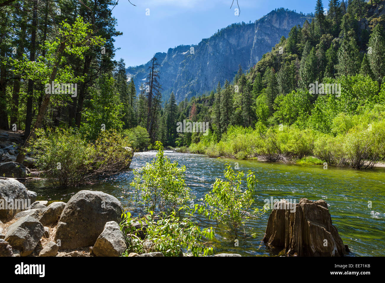 Río Merced desde el Portal Road, en el valle de Yosemite, el Parque Nacional de Yosemite, Sierra Nevada, en el norte de California, EE.UU. Foto de stock