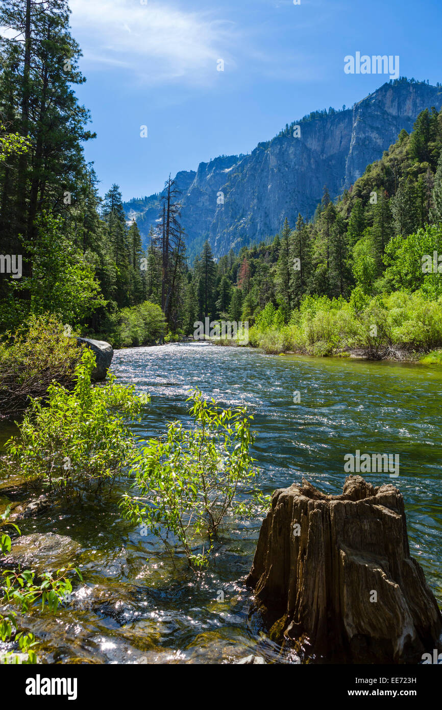 Río Merced desde el Portal Road, en el valle de Yosemite, el Parque Nacional de Yosemite, Sierra Nevada, en el norte de California, EE.UU. Foto de stock