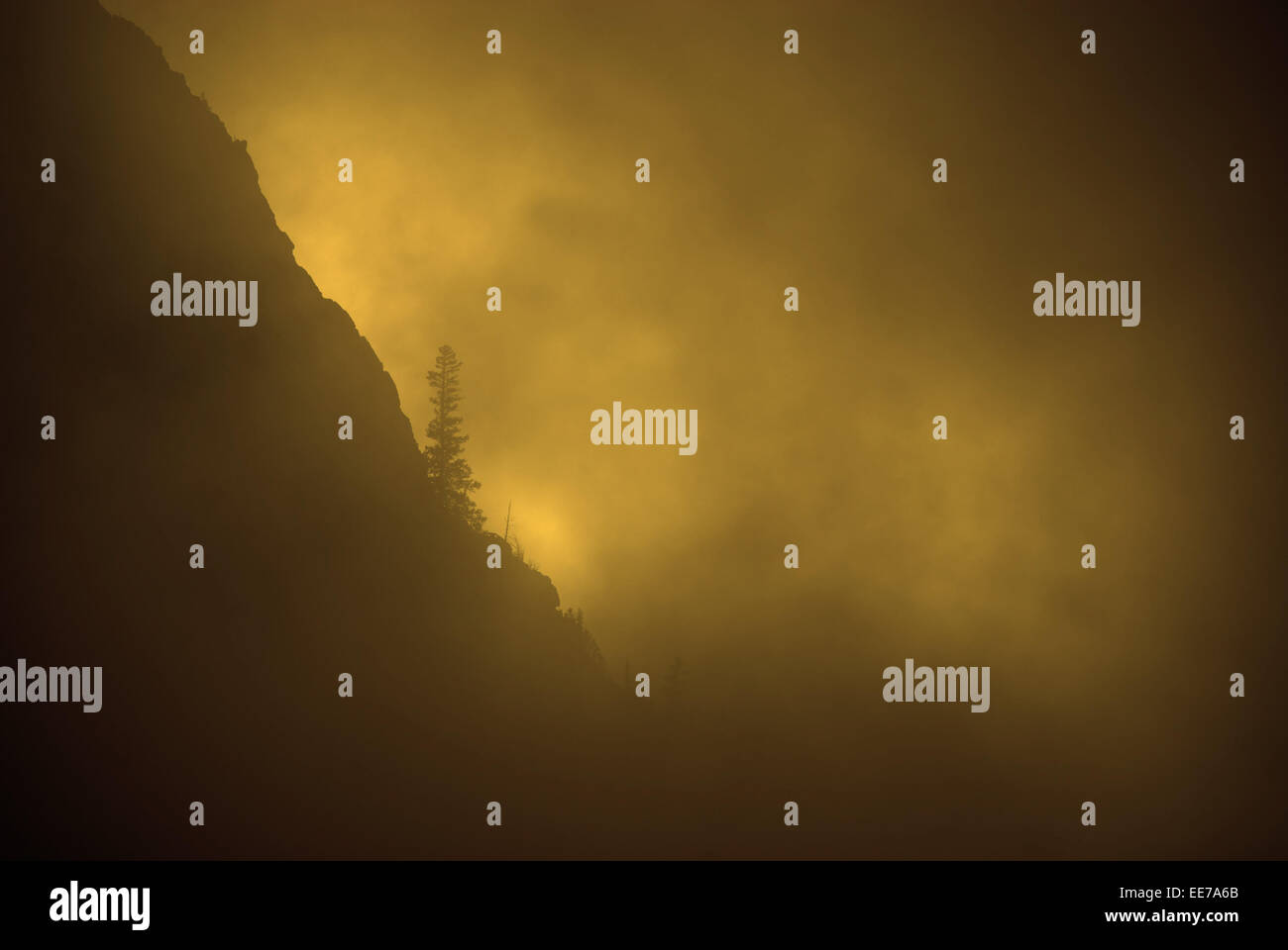 Niebla, cálido sol y pino en escarpadas montañas durante la tormenta Foto de stock