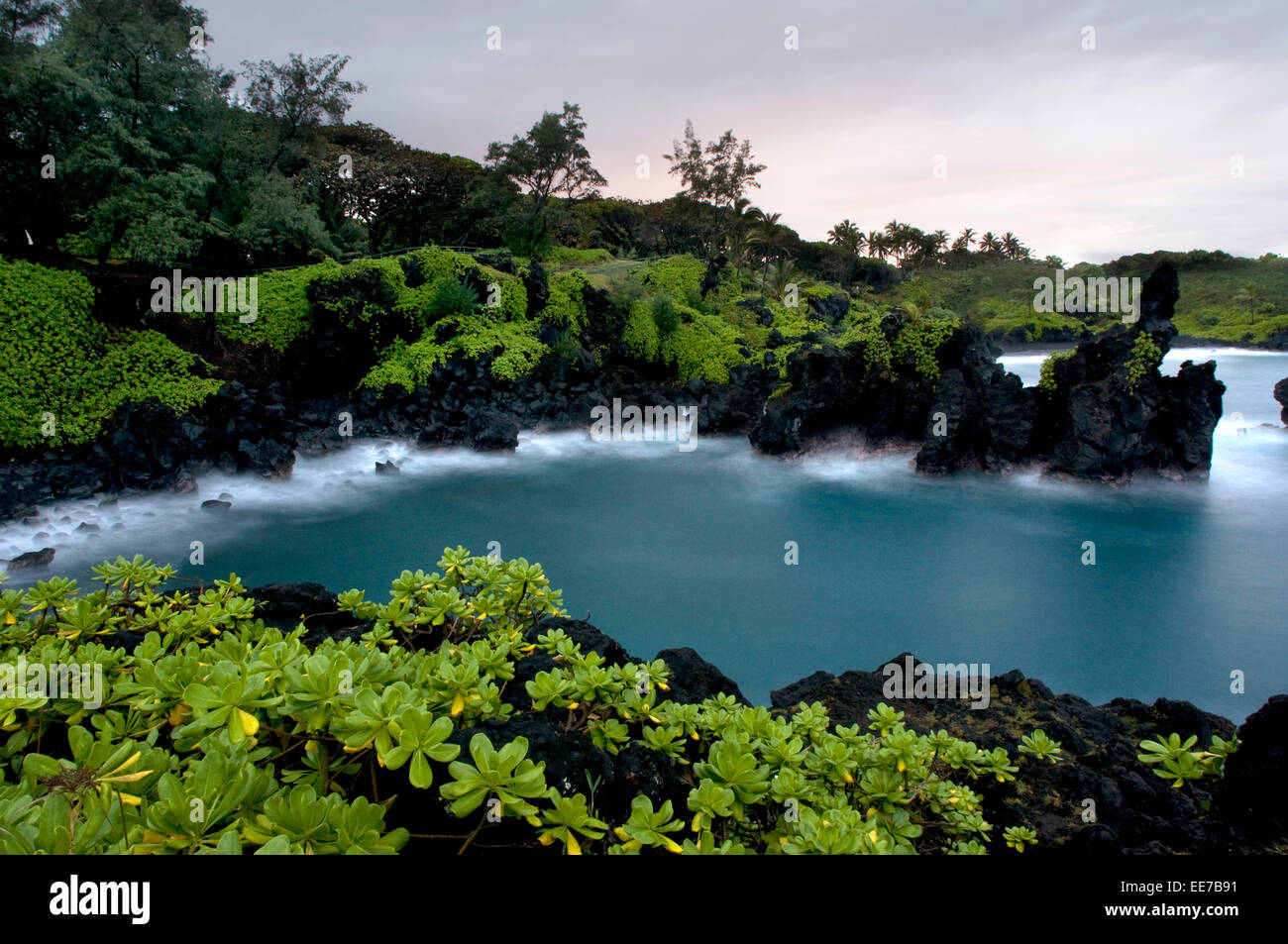 Wai'anapanapa State Park. Una frondosa ubicación con cuevas marinas y acantilados volcánicos. Hana Highway. Maui. Hawaii. Esta es una gran parada Foto de stock
