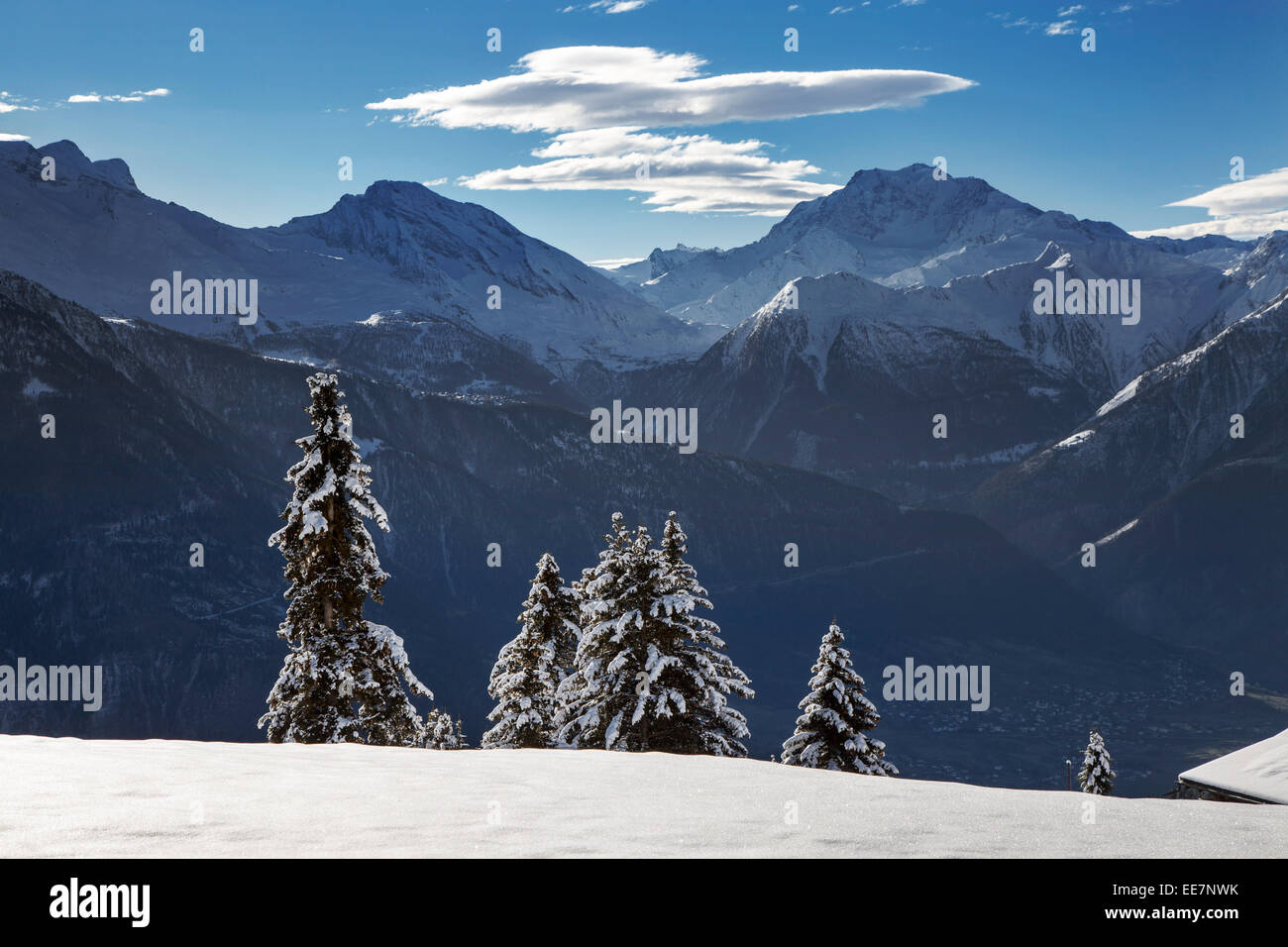 Las montañas vistas de Riederalp (y abetos cubiertos de nieve en invierno en los Alpes Suizos, Wallis / Valais, Suiza Foto de stock