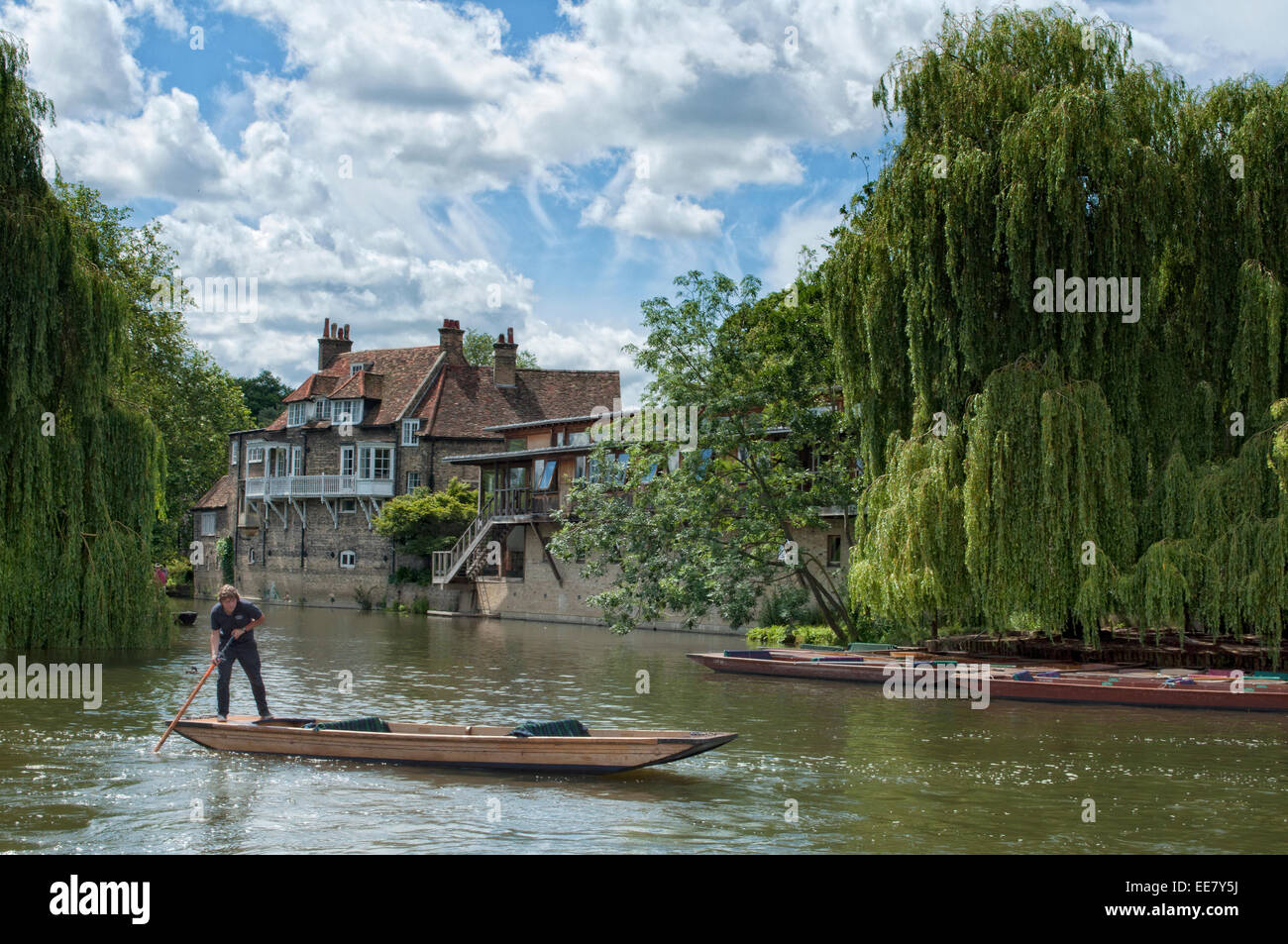 Navegar por el río Cam, Cambridge, Inglaterra Foto de stock