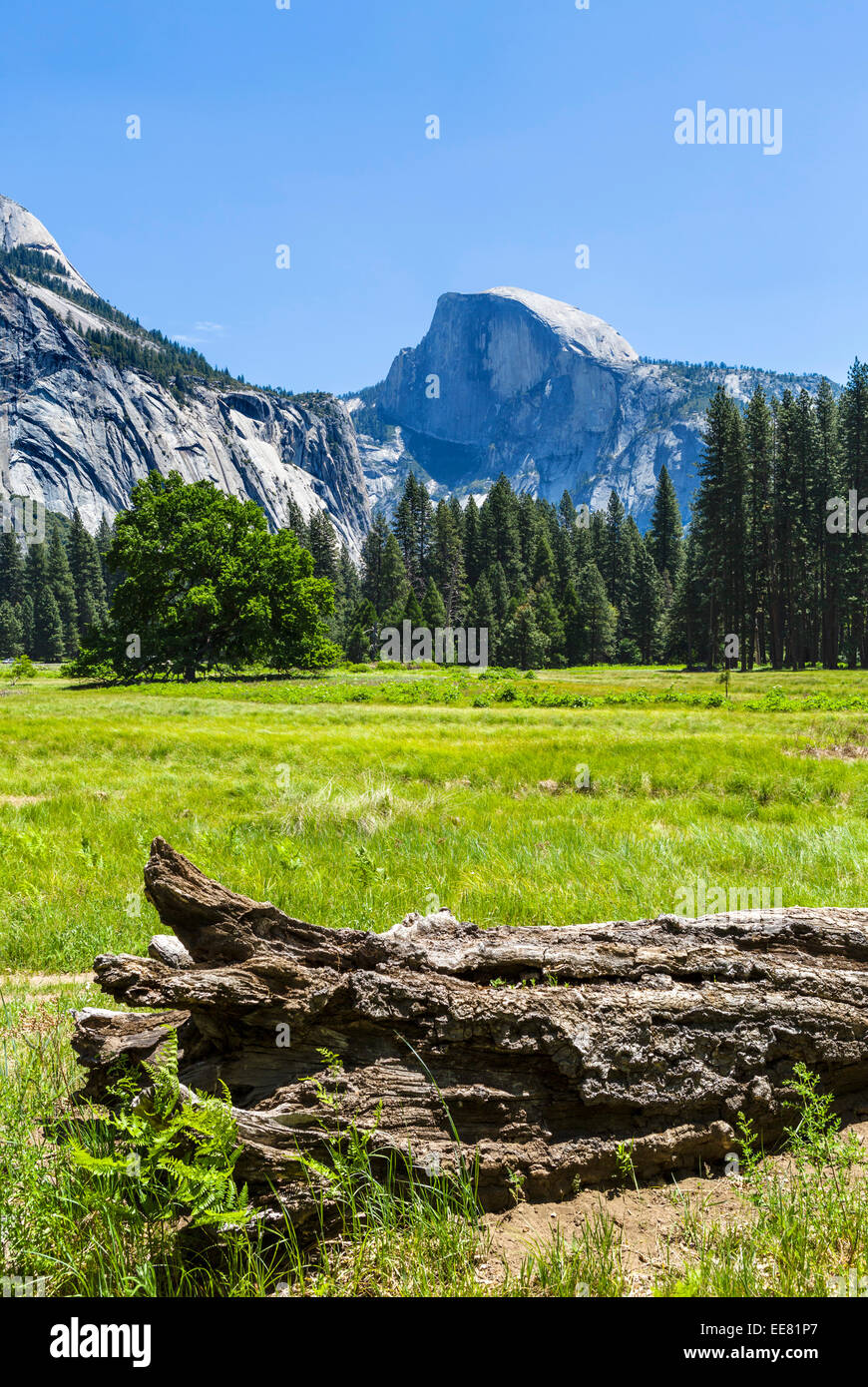 Half Dome, Yosemite Valley, Yosemite National Park, Sierra Nevada, en el norte de California, EE.UU. Foto de stock