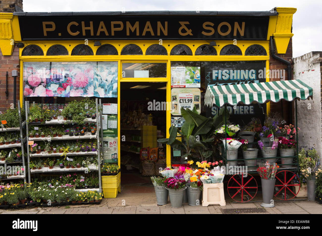 Parpadeo Adaptación estafador Tienda de plantas fotografías e imágenes de alta resolución - Alamy