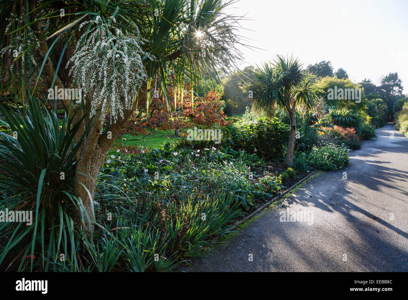 Ventnor Botanic Garden, la Isla de Wight Foto de stock