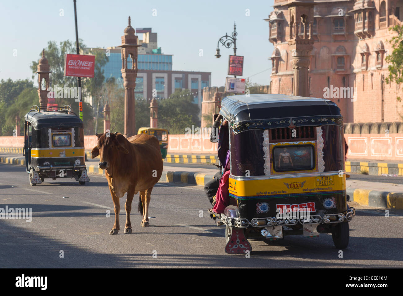 La India, Rajastán, Bikaner, rickshaws, ciclomotores y vaca fuera Junagarh Fort Foto de stock