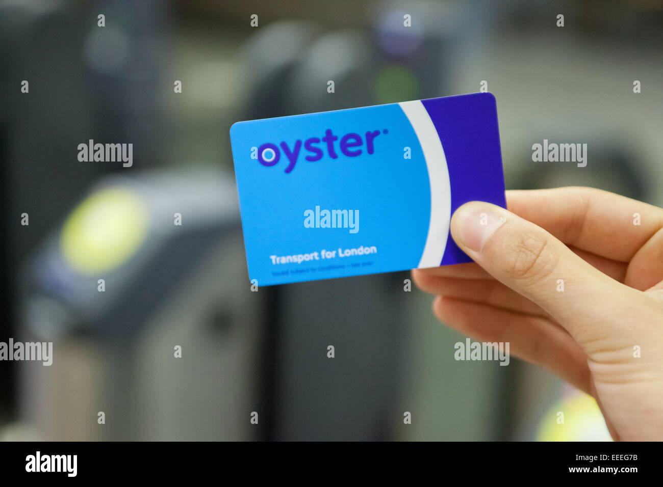Atento pase a ver Asentar Tarjeta oyster fotografías e imágenes de alta resolución - Alamy